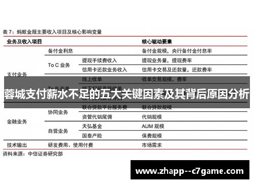 蓉城支付薪水不足的五大关键因素及其背后原因分析