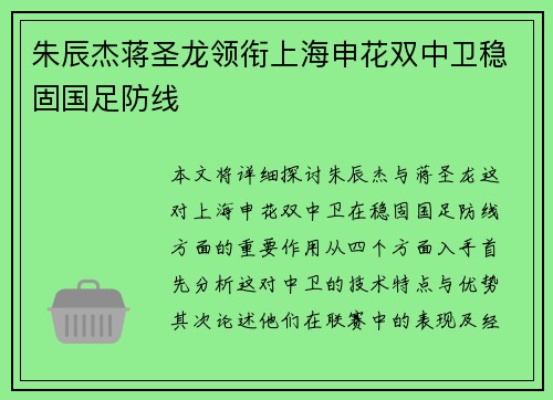 朱辰杰蒋圣龙领衔上海申花双中卫稳固国足防线