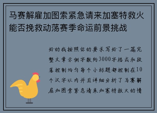 马赛解雇加图索紧急请来加塞特救火能否挽救动荡赛季命运前景挑战